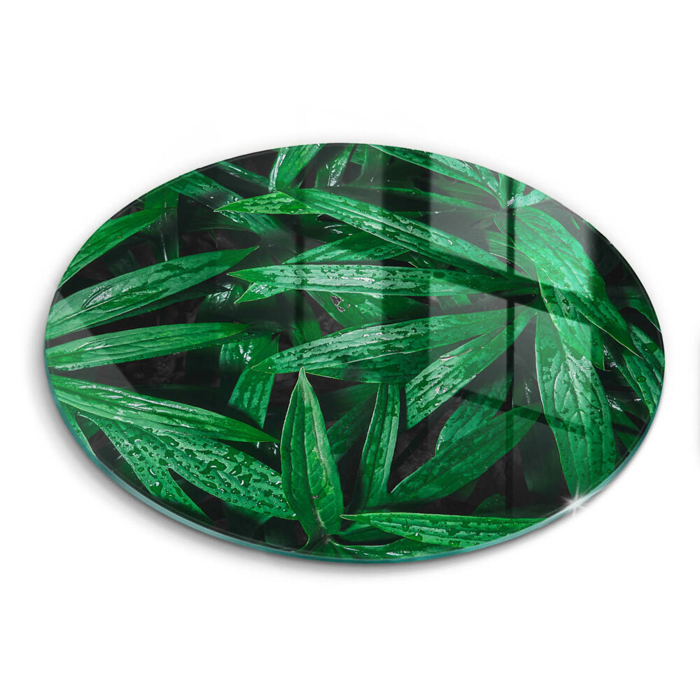 Edzett üveg vágódeszka kerek Növények levelei