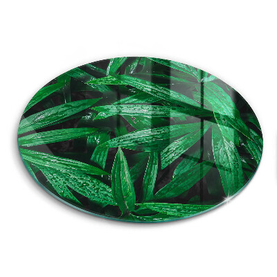 Edzett üveg vágódeszka kerek Növények levelei