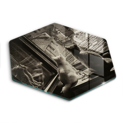 Üveg vágódeszka hatszögletű Macskák város és ablak