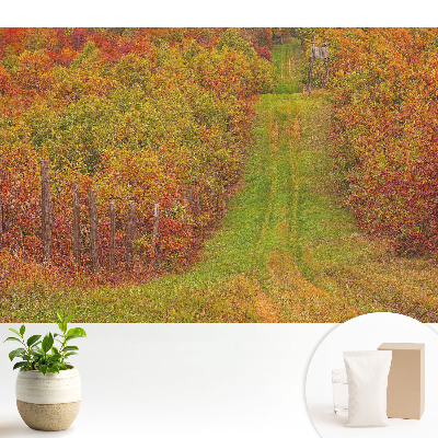 Dekor tapéta Őszi út színes fák között