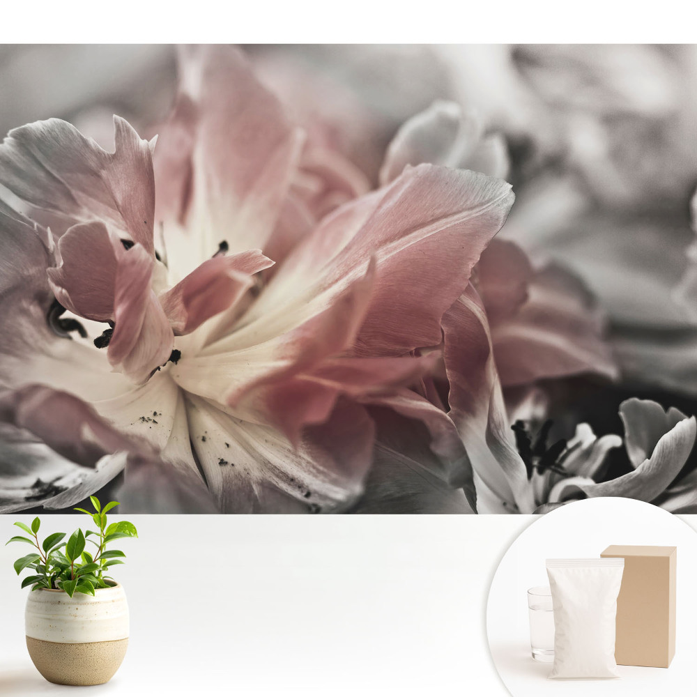 Modern tapéta Finom virágszirmok közeli képe