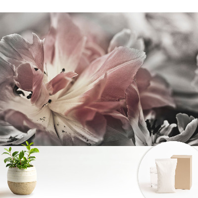 Modern tapéta Finom virágszirmok közeli képe