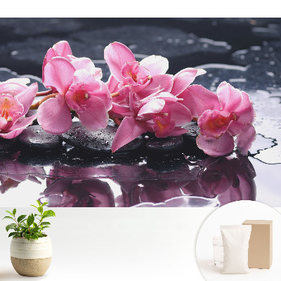 Dekor tapéta Rózsaszín orchideák köveken