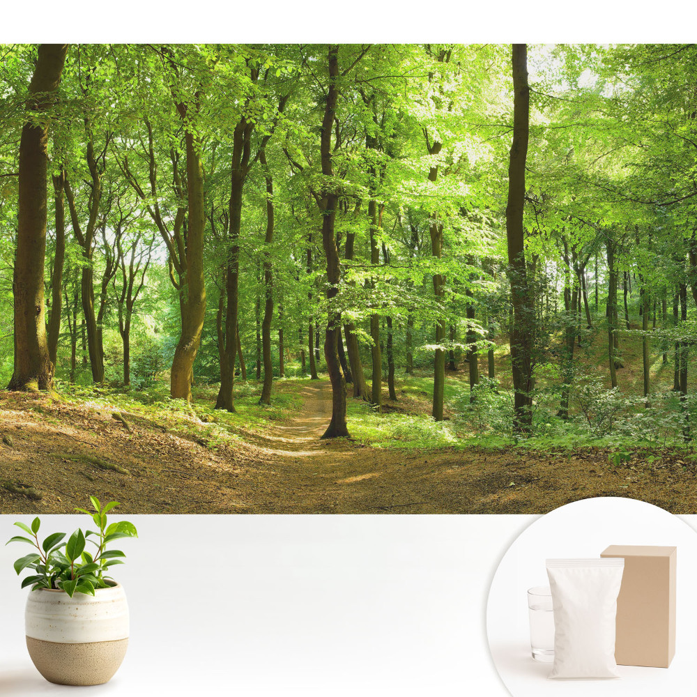 Modern tapéta Friss zöld erdő