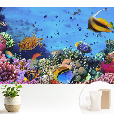 Dekor tapéta Egy színekkel teli víz alatti világ