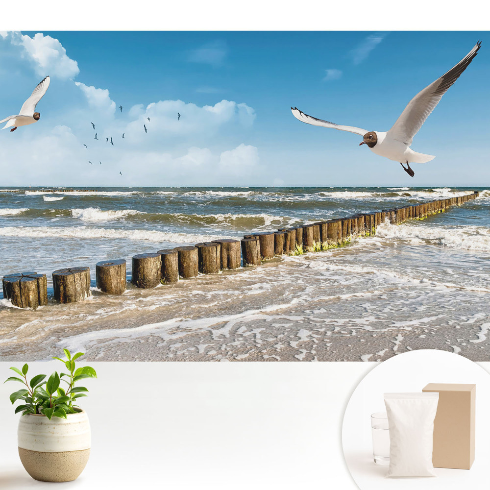 Modern tapéta Sirályok a tenger felett