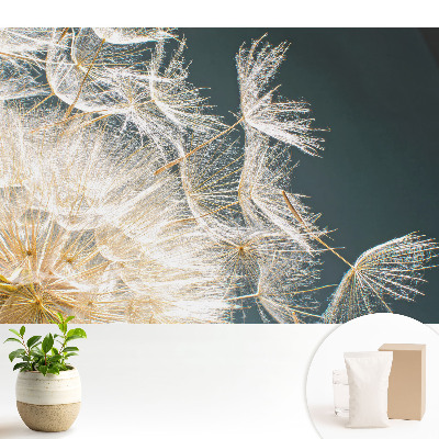 Modern tapéta A finom pitypang éteri magvai