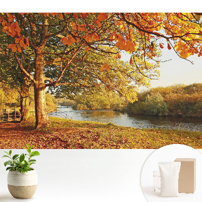 Tapéta Őszi folyóparti táj nyugodt színekkel