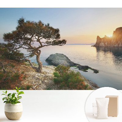 Tapéta Festői naplemente a szikla felett