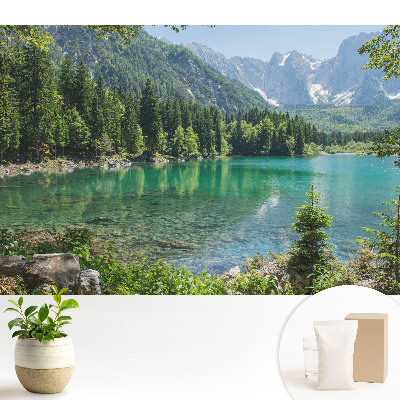 Modern tapéta Természetes szépség és harmónia