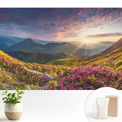 Tapéta Hegyi táj a napsütésben