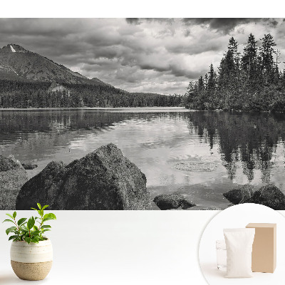 Tapéta Hegyi táj tófák