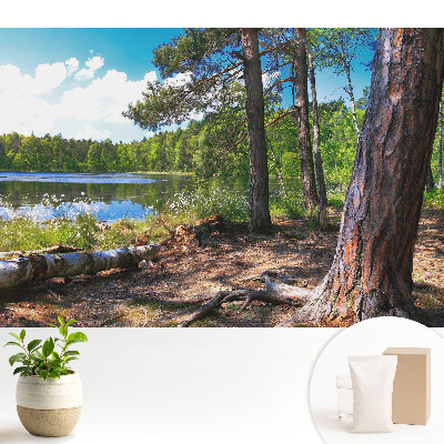 Dekor tapéta Erdős táj a tóparton, természetes béke