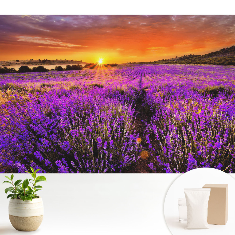 Tapéta Levendula mezők naplemente