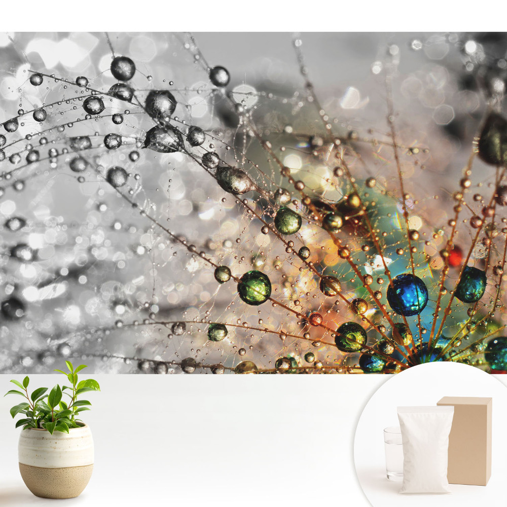 Tapéta A cseppek színei a pókhálón