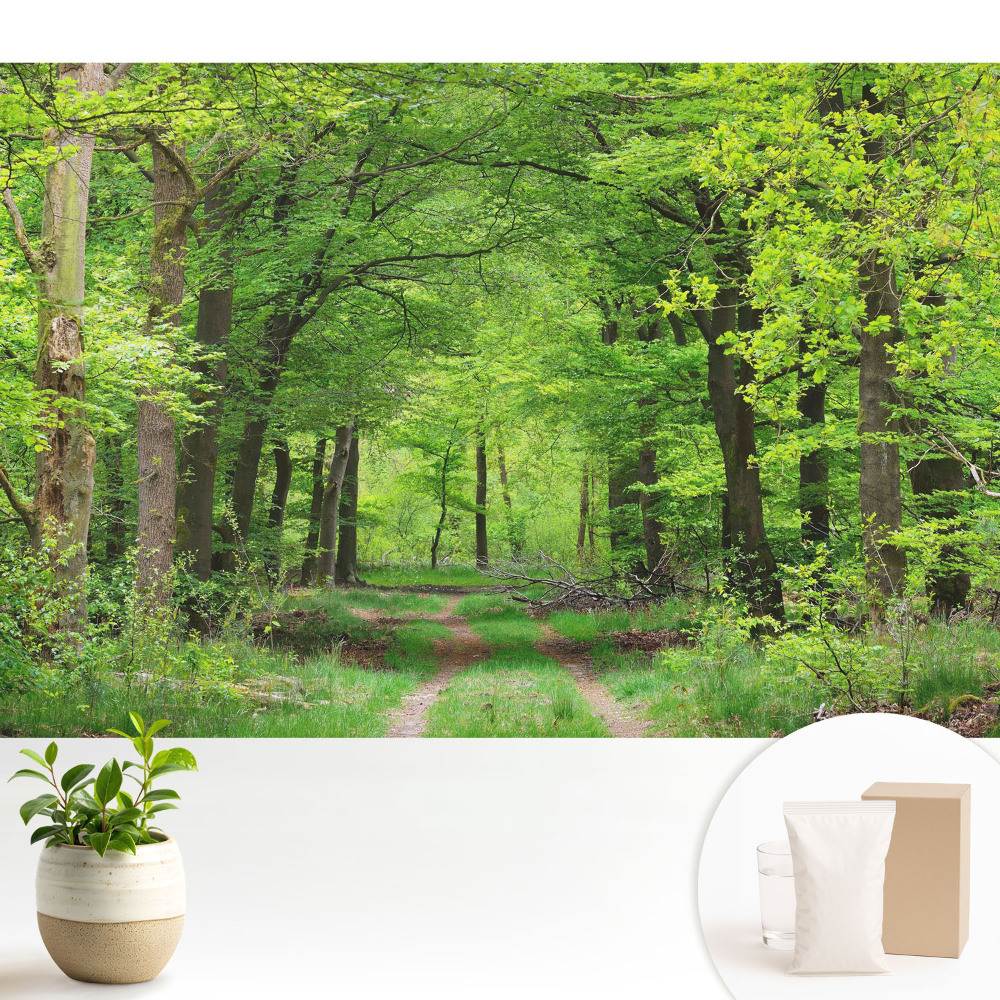 Tapéta Zöld erdő harmonikus táj