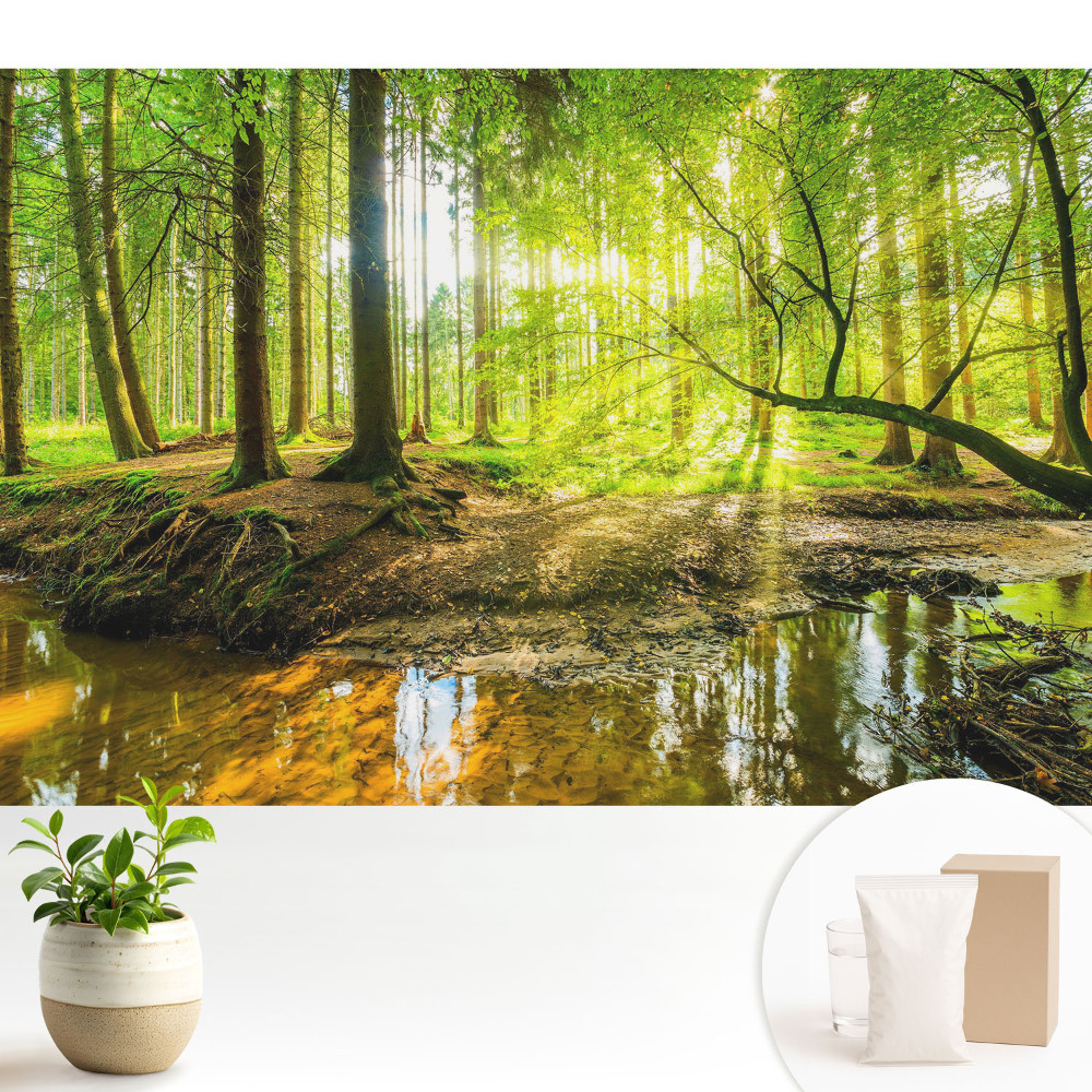 Modern tapéta Erdő békéje, fény, patak