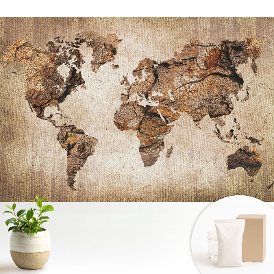 Rusztikus világtérkép