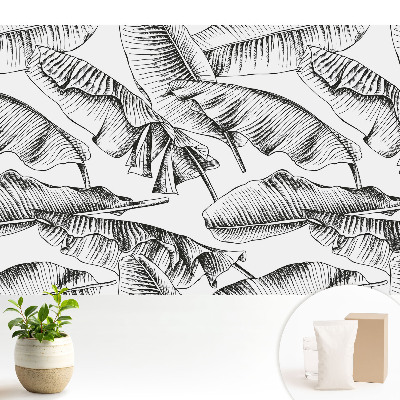 Modern tapéta Klasszikus banánlevelek