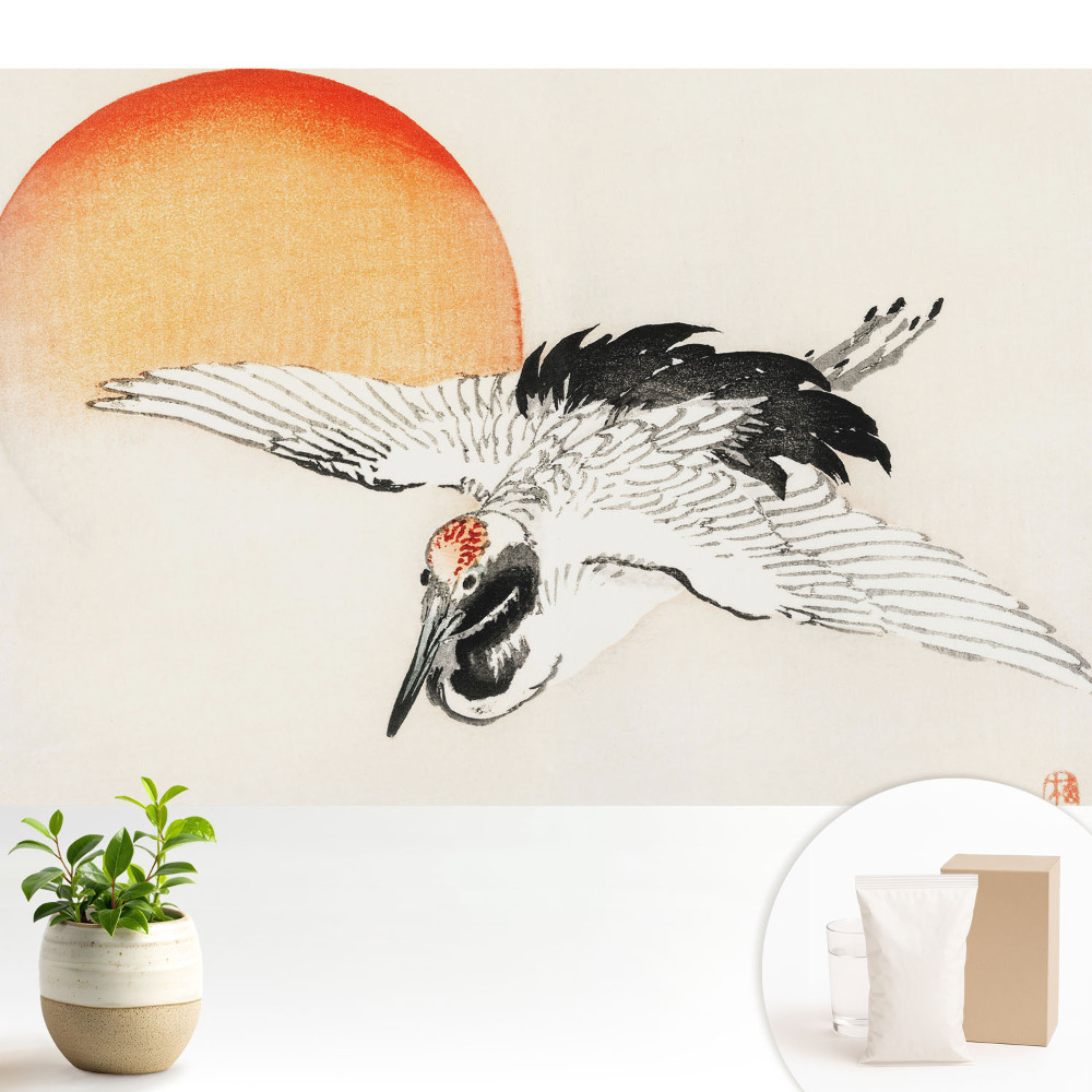 Tapéta Egy repülő madár finom motívuma