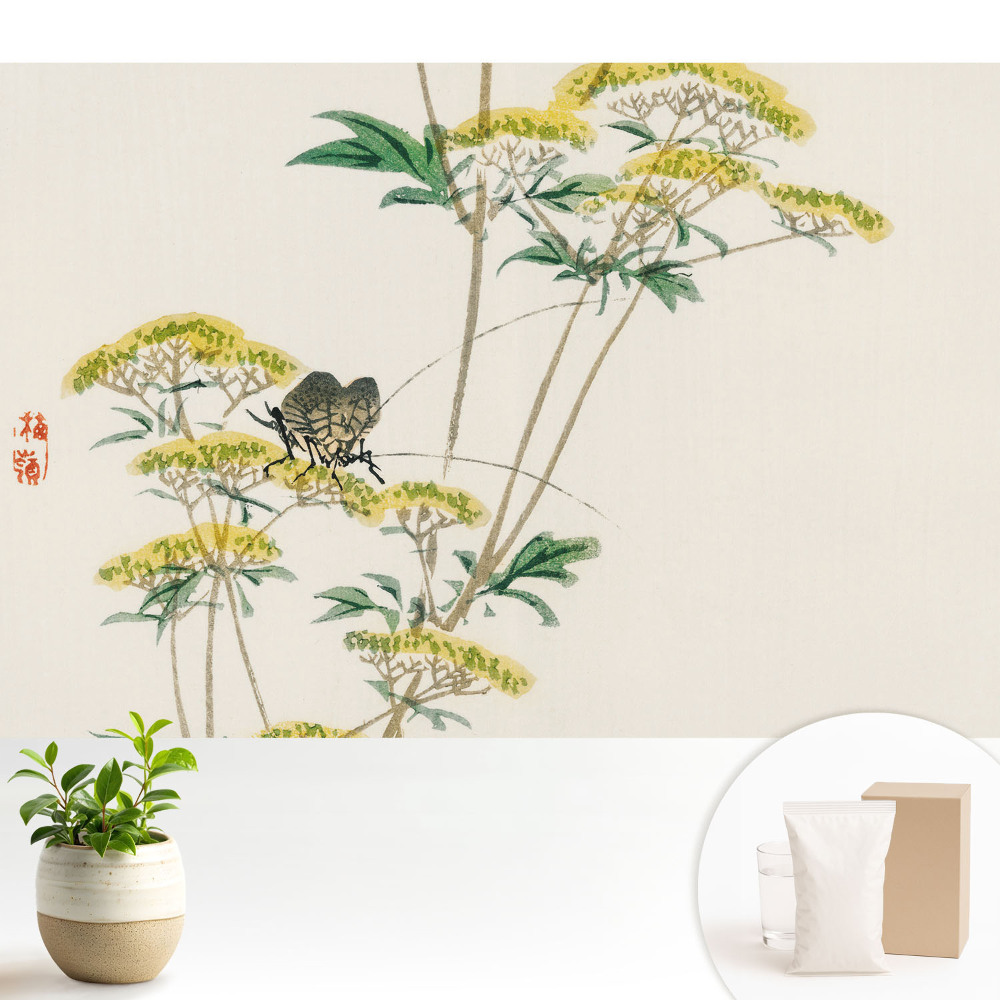 Dekor tapéta Finom virágok rovar harmónia természet