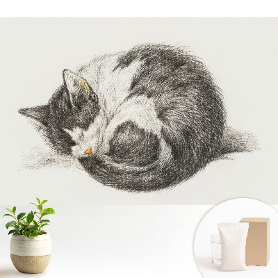 Dekor tapéta Alvó cica központi illusztráció
