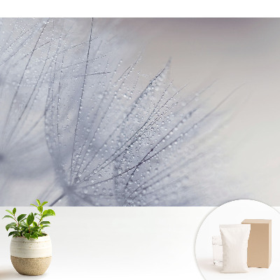 Modern tapéta Makró cseppekből pitypang rostokon