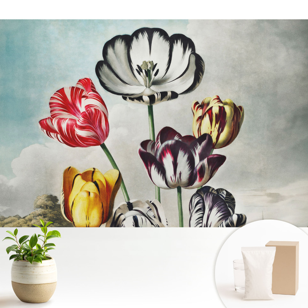 Modern tapéta Tulipáncsokor, klasszikus elegancia