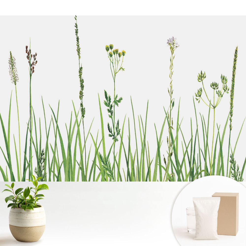 Tapéta Vadvirágok és füvek akvarell természet harmóniája