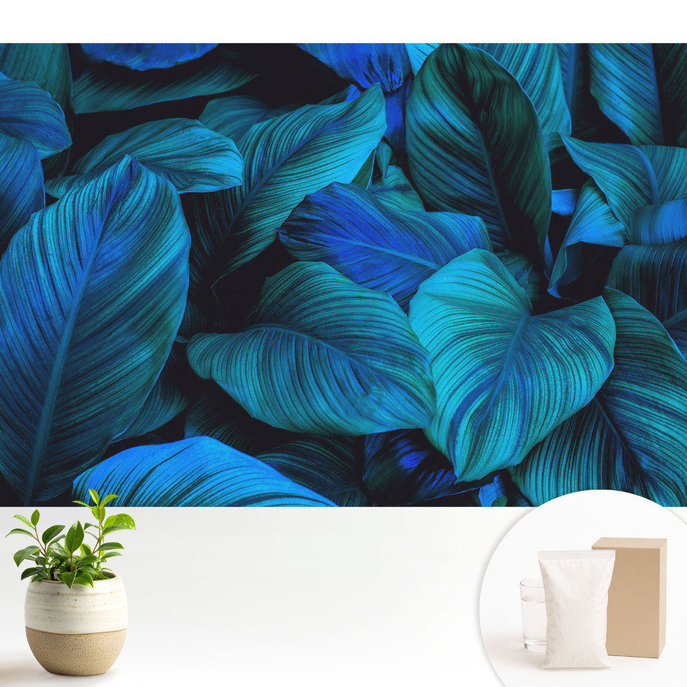 Modern tapéta Kék levelek természet mélysége