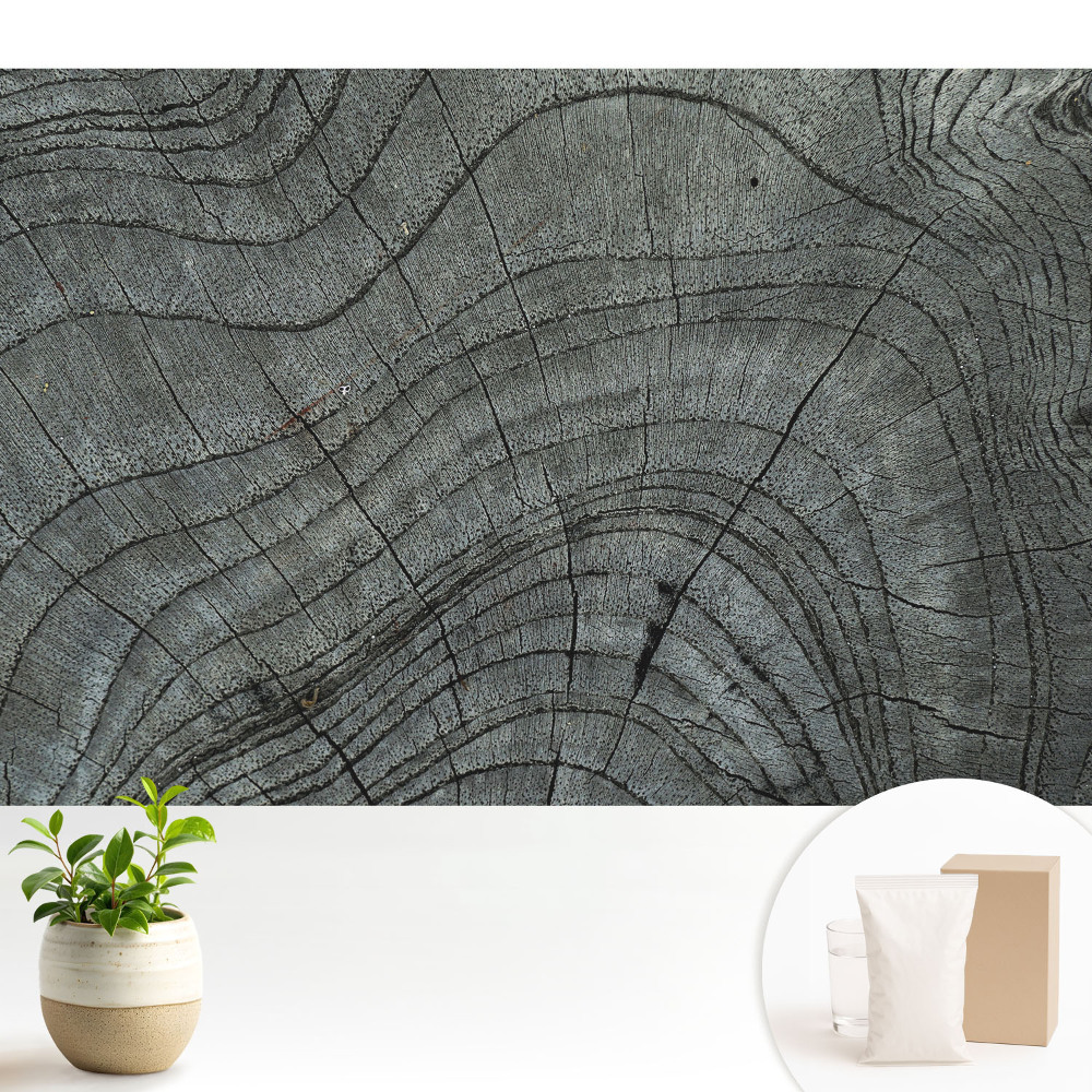 Modern tapéta Faerezetes rusztikus szimmetria