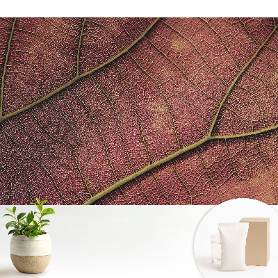 Dekor tapéta A levél szerkezete tele van részletekkel és színekkel