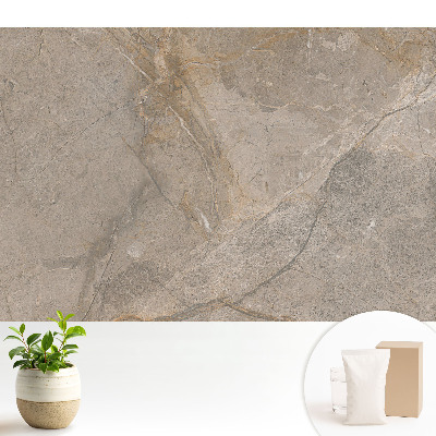 Dekor tapéta Bézs és szürke mintás kő