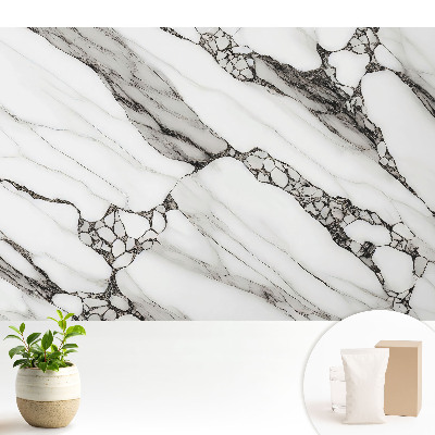 Dekor tapéta Fekete erek fehér kőalapon