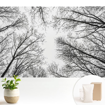 Modern tapéta Fekete-fehér téli fák