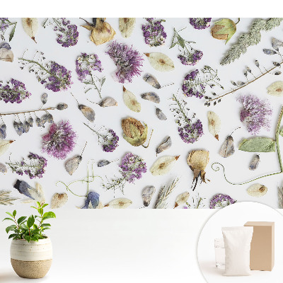 Modern tapéta Szárított virágok fehér alapon