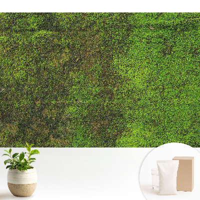 Tapéta Moha szerves textúra