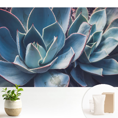 Modern tapéta A pozsgás levelek szimmetrikus minimalizmust alkotnak