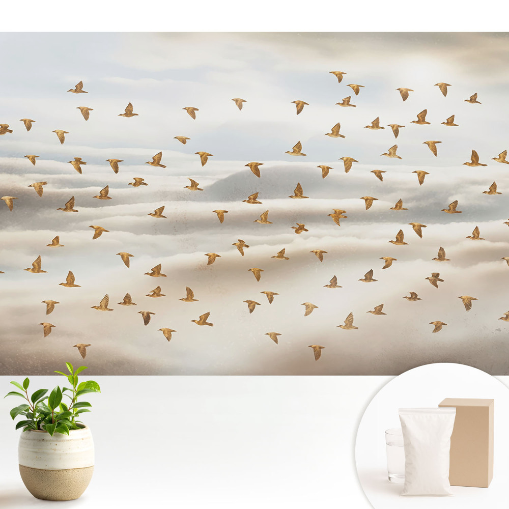 Dekor tapéta Madarak repülnek a felhőkben