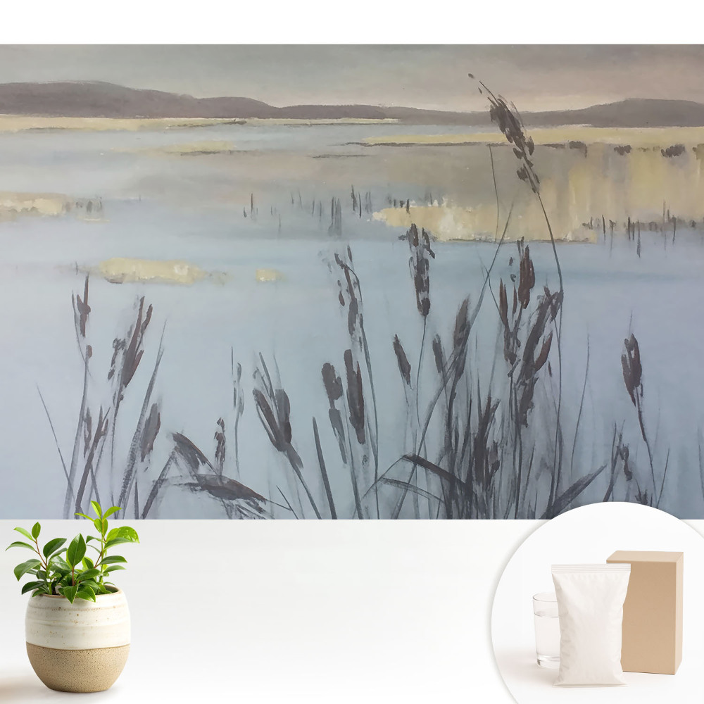 Modern tapéta Nádas tó, fényvisszaverő tér