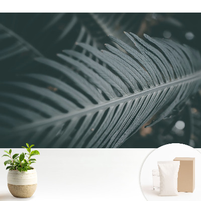 Modern tapéta Elegáns levélkompozíció