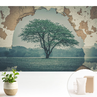 Dekor tapéta Nosztalgikus fa motívum egy régi fal hátterében