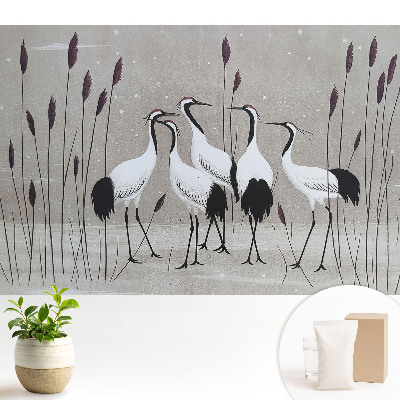 Tapéta Daruk a nádasban