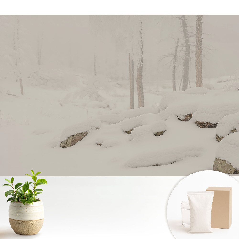 Modern tapéta Téli táj hangulatos erdő