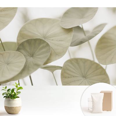 Modern tapéta Levelek minimalista stílusban