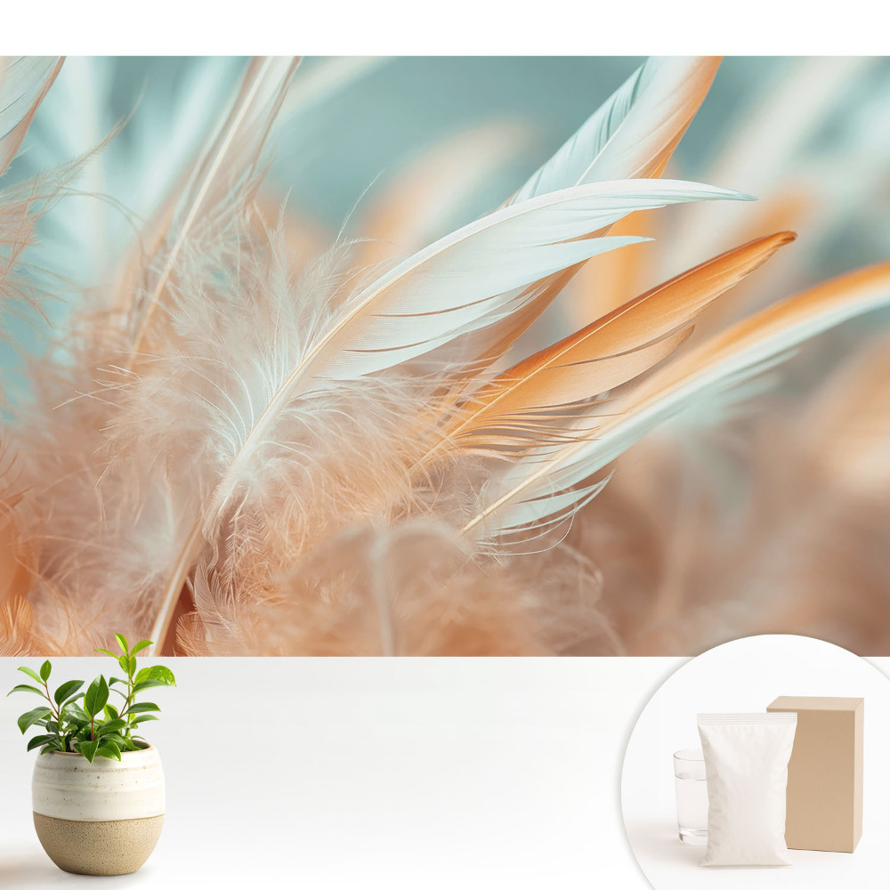 Modern tapéta Pasztell tollak harmóniában