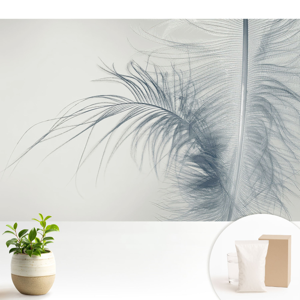 Dekor tapéta A finom tollmotívum, könnyedség és harmónia