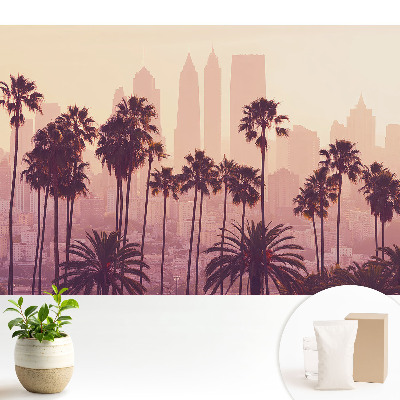 Hangulatos pálmafák naplementekor