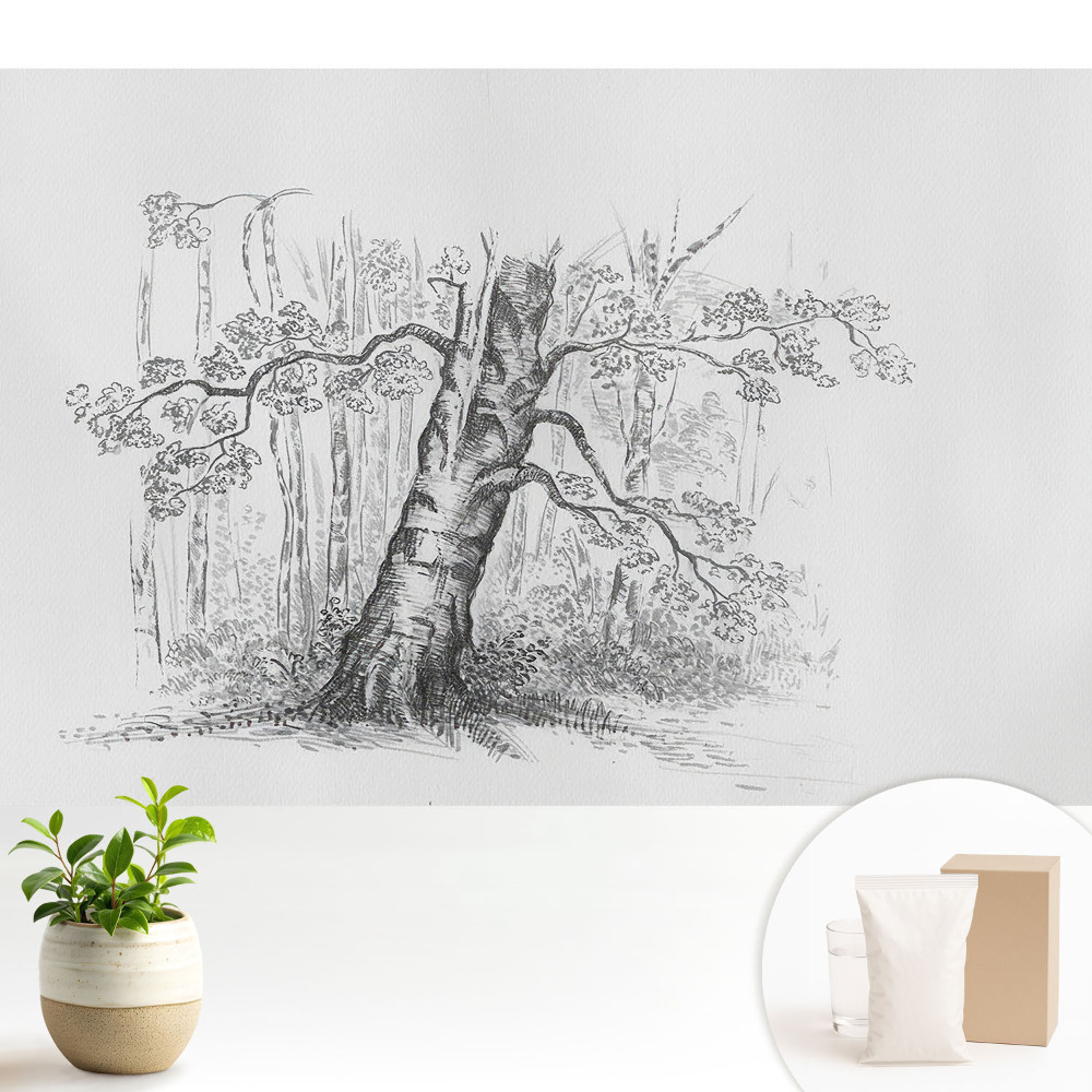 Tapéta Egy fa rajza az erdőben
