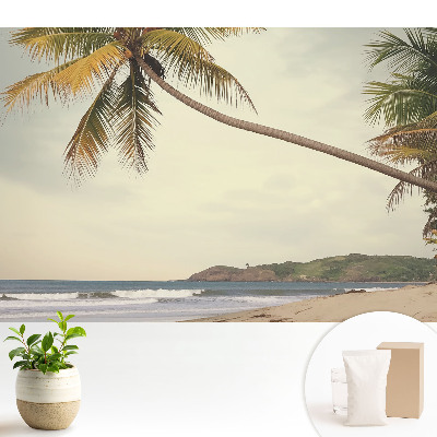 Tapéta Pálmafa és egzotikus tengerpart